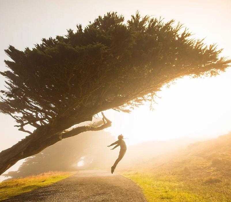 Moving from research to insight